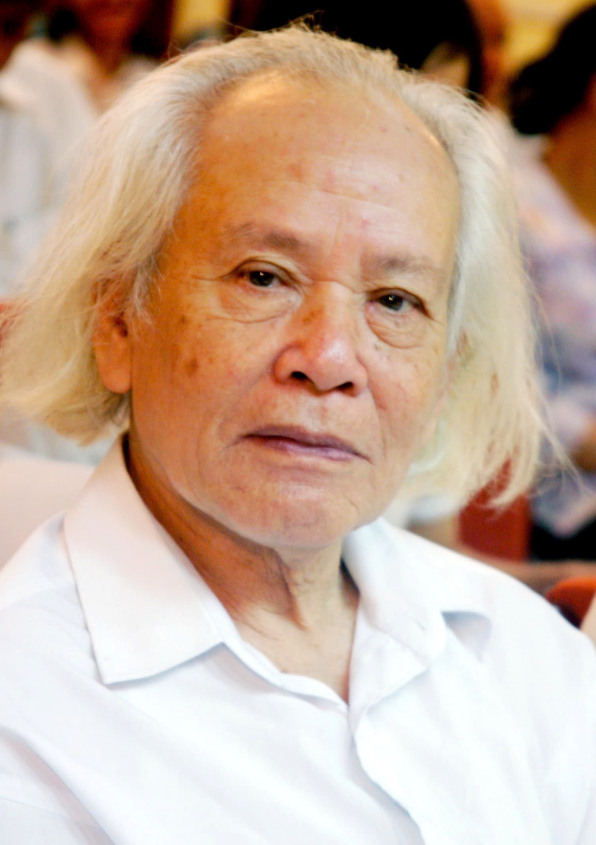 Portrait of the famous playwright Dinh Xuan Lam. Photo: Ngo Vuong Anh