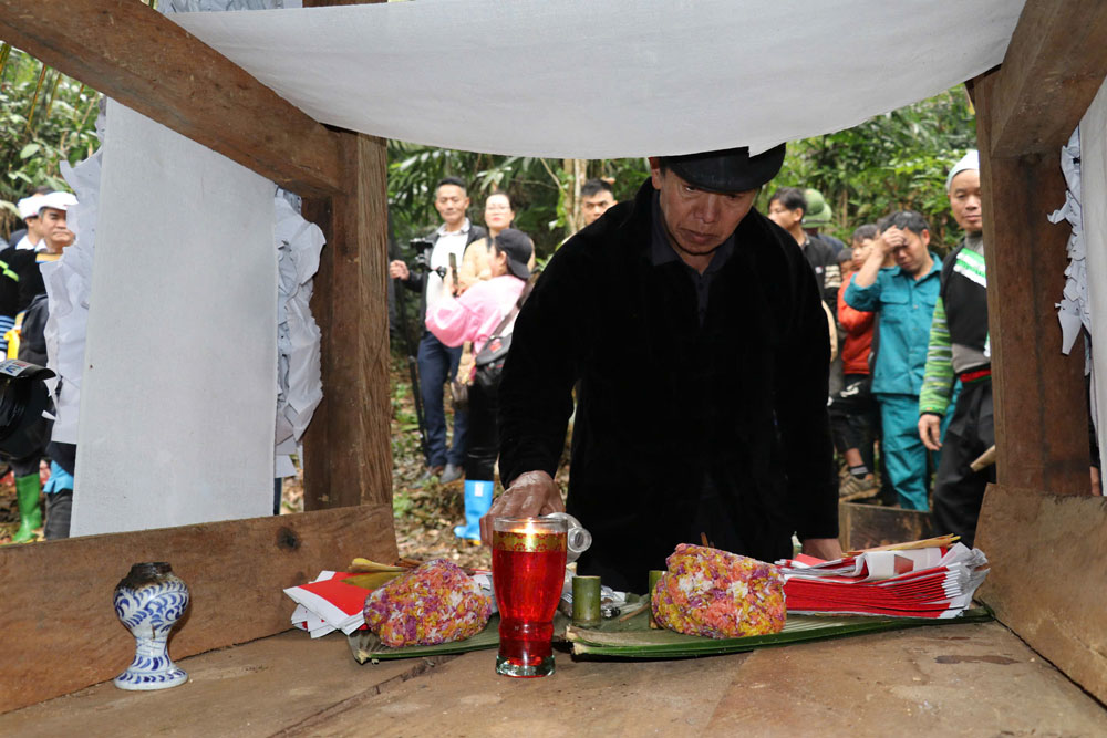 The forest Tet of the H'Mong people. Photo: Van Duc.