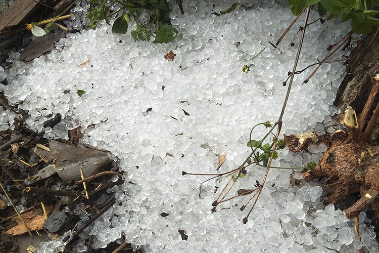 Unexpected hail and rocks occurred in some localities in Dien Bien province. Photo: Binh Thuy