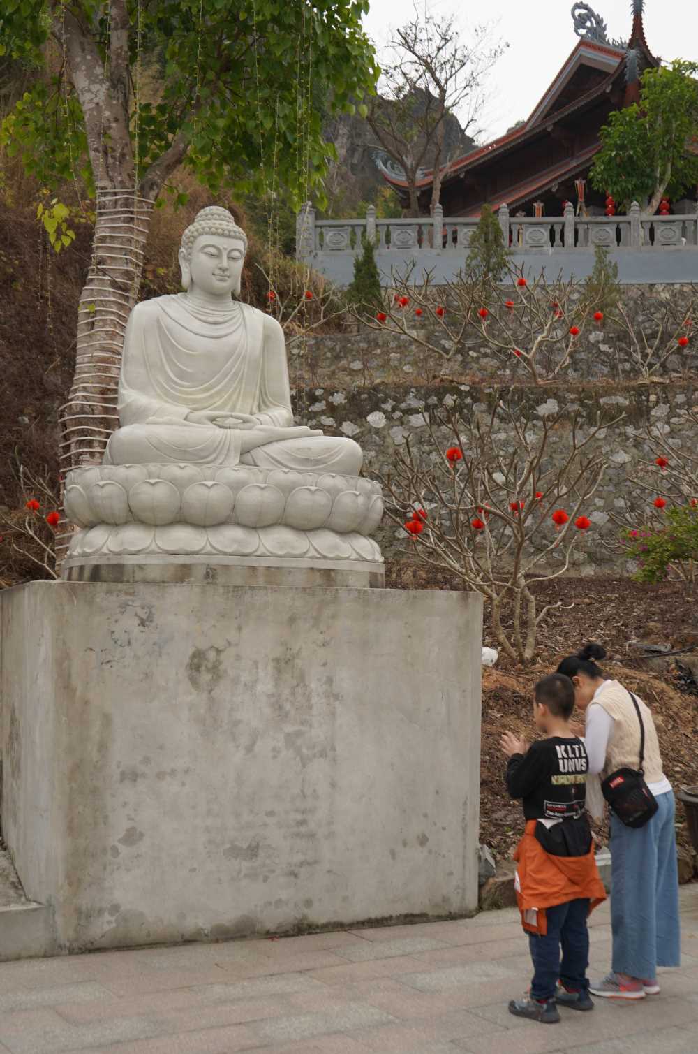 Chua Long Hoa la mot trong nhung ngoi chua so huu he thong tuong Phat nhieu bac nhat Hai Phong. Anh: Mai Dung