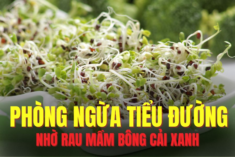 Broccoli helps prevent diabetes. Graphics: Tra My