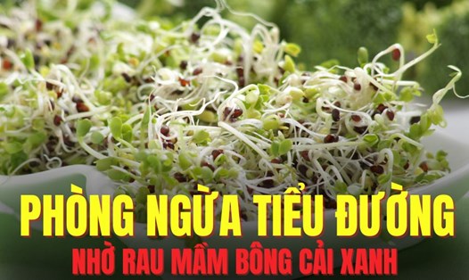 Rau mầm bông cải xanh hỗ trợ phòng ngừa bệnh tiểu đường. Đồ họa: Trà My