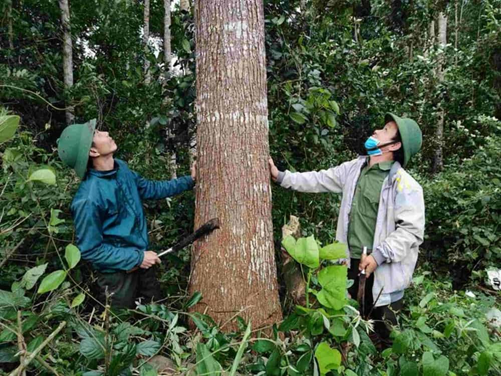 134 officers and employees of the Gia Lai Provincial Forest Protection Department wrote applications for early retirement and resignation. Photo: Thanh Tuan