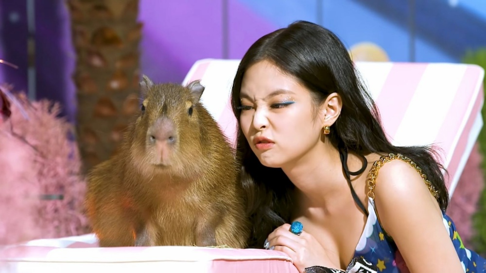 Jennie tung co canh quay cung capybara trong MV. Anh: YG