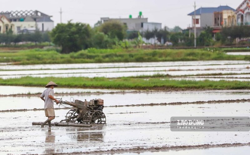 Nguoi dan Khanh Hoa muon tach thua dat nong nghiep can dap ung dien tich toi thieu theo quy dinh moi. Nhung thay doi nay nham quan ly chat che hon, tranh tinh trang phan lo nho le anh huong den quy hoach. Anh minh hoa: Phan Anh