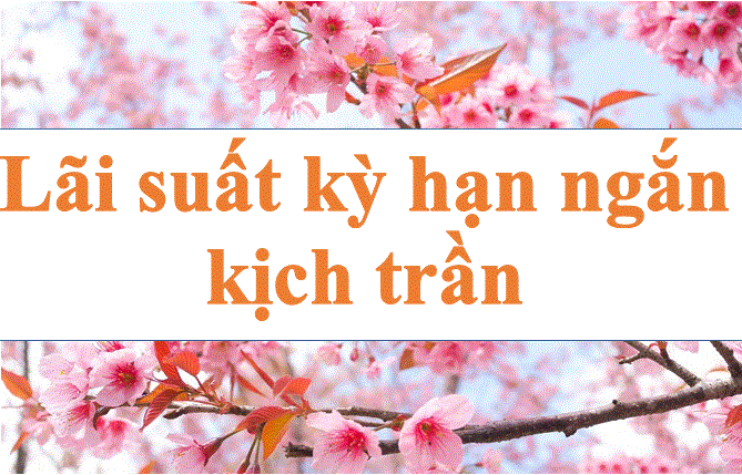 The short-term interest rate is ceiling. Photo: Ha Vy