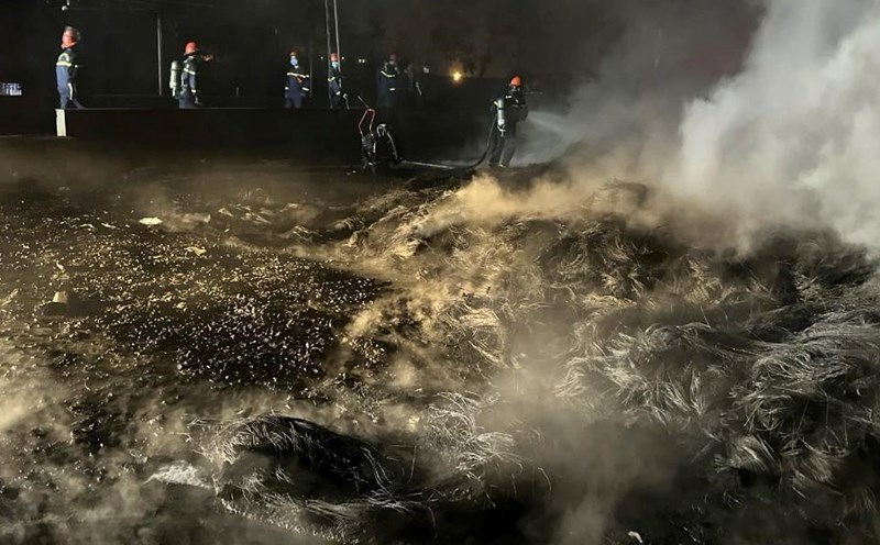 The authorities promptly controlled the fire, preventing it from spreading. Photo: Provided by the police