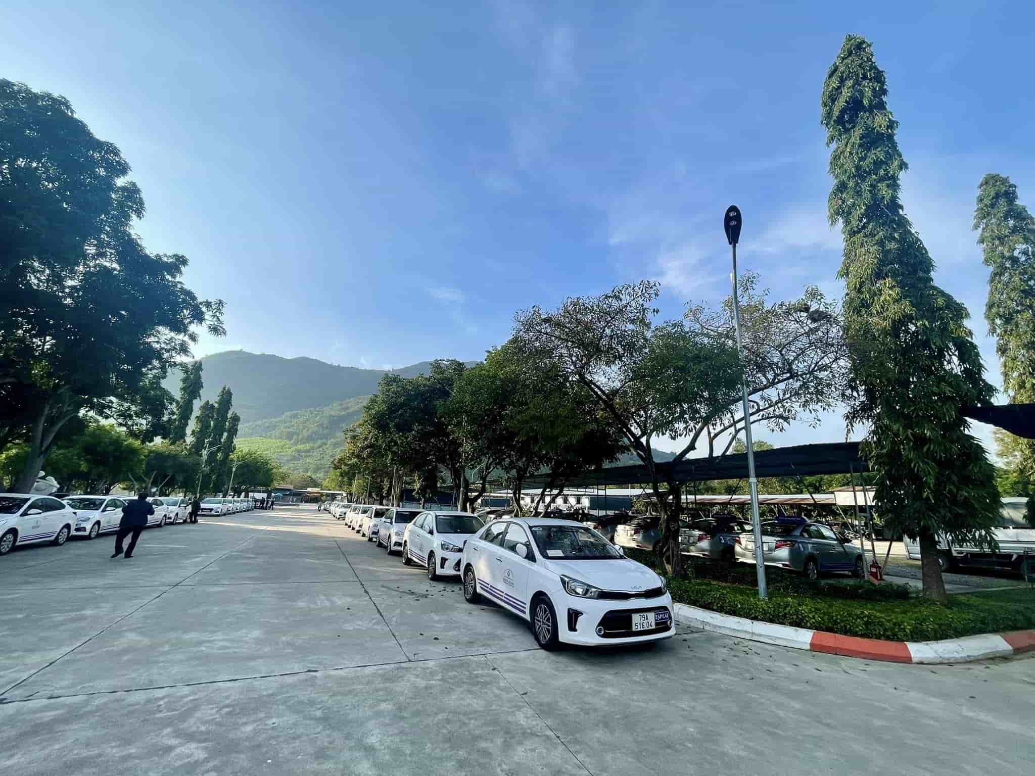 The authorities continue administrative procedures for issuing and renewing driving licenses in Khanh Hoa. Photo: Hong Bang
