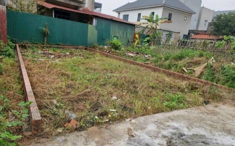 The land segment in Dong Anh district (Hanoi) is of interest to many investors. Photo: Thu Giang