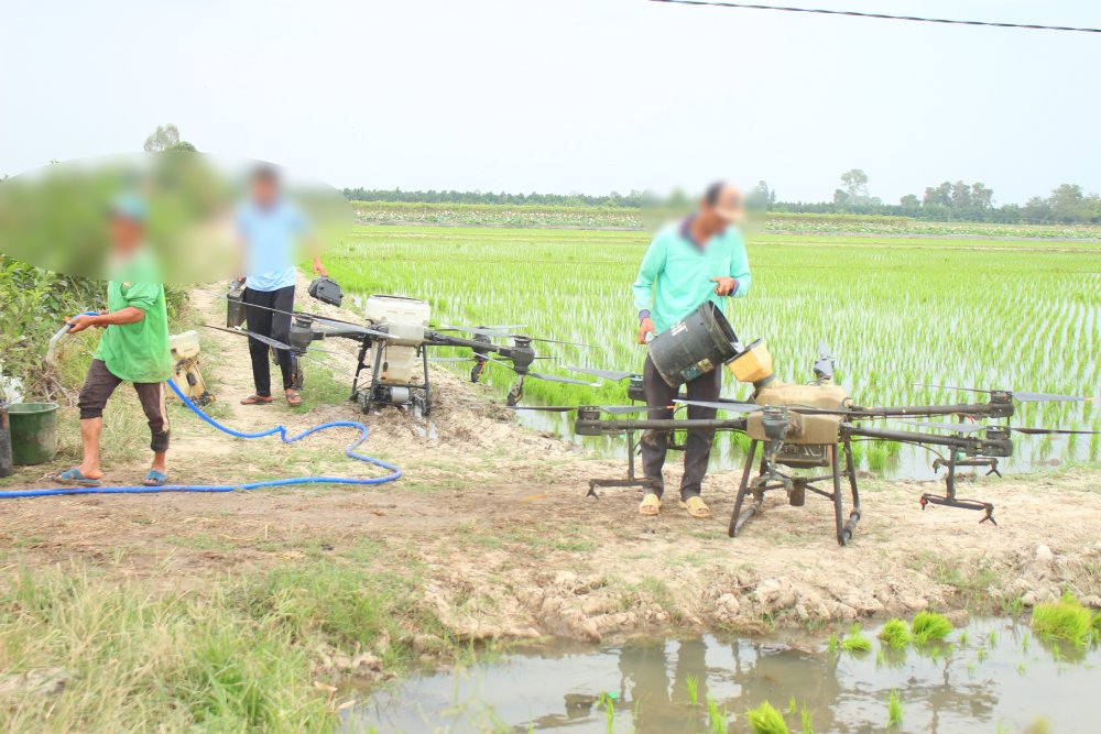 Hien nay, linh vuc quan ly drone phun thuoc rat can vai tro cua nguoi “nhac truong“, nhat la trong boi canh gao Viet Nam dang canh tranh tren thi truong quoc te. Anh: Luc Tung.