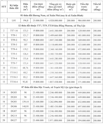 Chi tiet cac thua dat trong phien dau gia ngay 24.2. Anh chup man hinh