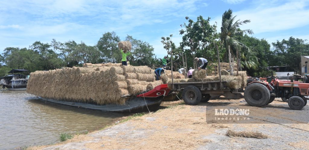 Cho rom Ba tri hoat dong tai gan cong Ba Lai (thuoc dia ban xa Tan Xuan, huyen Ba Tri, tinh Ben Tre). Anh: Thanh Nhan