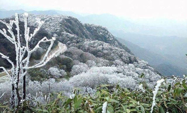 Many countries, including Vietnam, are experiencing a strong cold front. Photo: Vietnam National Center for Hydro-Meteorological Forecasting