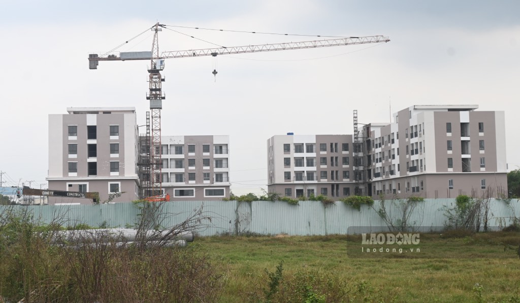 Kho tiep can von, du an nha o xa hoi HQC Tan Huong nam tren dia ban xa Tan Huong (huyen Chau Thanh, tinh Tien Giang) hon 8 nam van chua hoan thien. Anh: Thanh Nhan