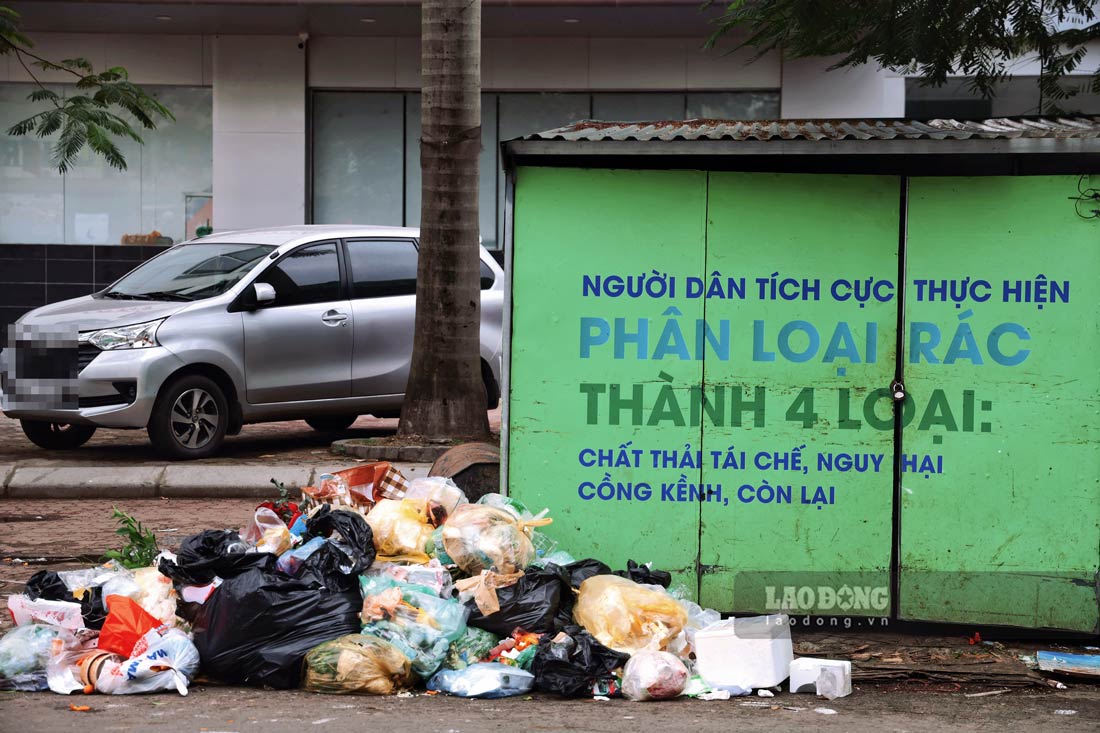 Vua qua, Pho Chu tich UBND TP Ha Noi Nguyen Trong Dong da giao UBND cac quan Ba Dinh, Hoan Kiem, Dong Da, Hai Ba Trung lap camera nham phat hien, xu ly nghiem hanh vi do trom rac thai, bo rac khong dung noi quy dinh, cham thu gom, van chuyen rac.