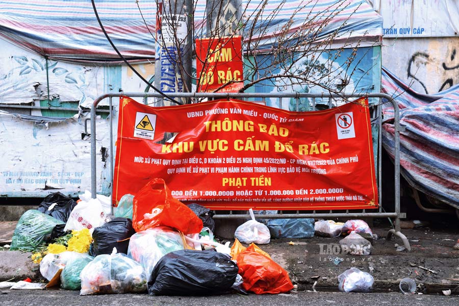 Mac du co bien cam do rac to, in ro muc phat doi voi hanh vi do rac khong dung noi quy dinh nhung khu vuc duong Tran Quy Cap (Quan Dong Da, Ha Noi) van bi chat dong rac thai.