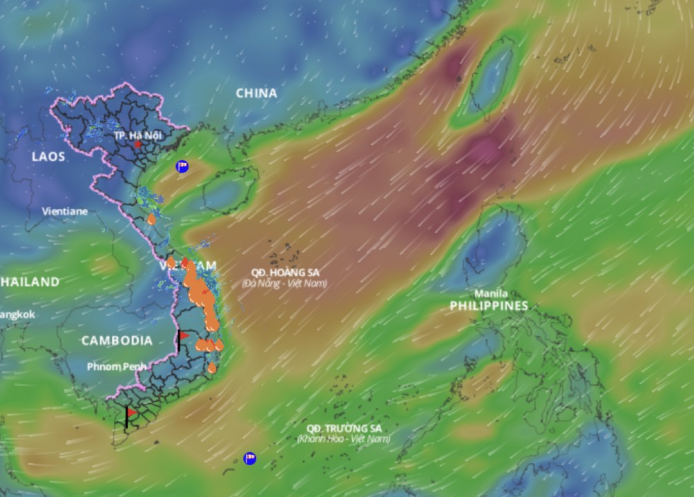 Cold air is forecast to continue affecting the weather in some sea areas of the East Sea. above is an image of the sea wind direction updated at 10:30 on February 24. Photo: Vietnam Disaster Monitoring System