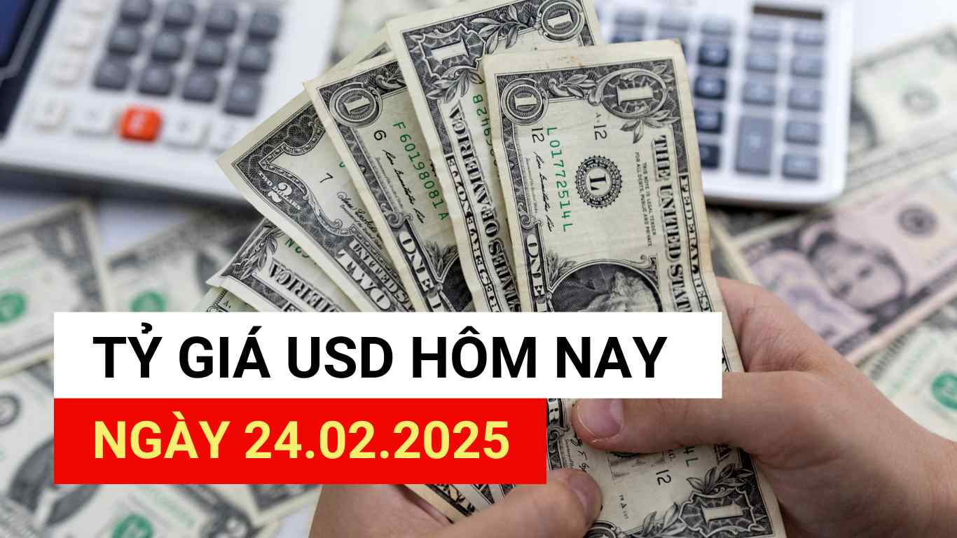 USD exchange rate 24.2.2025.