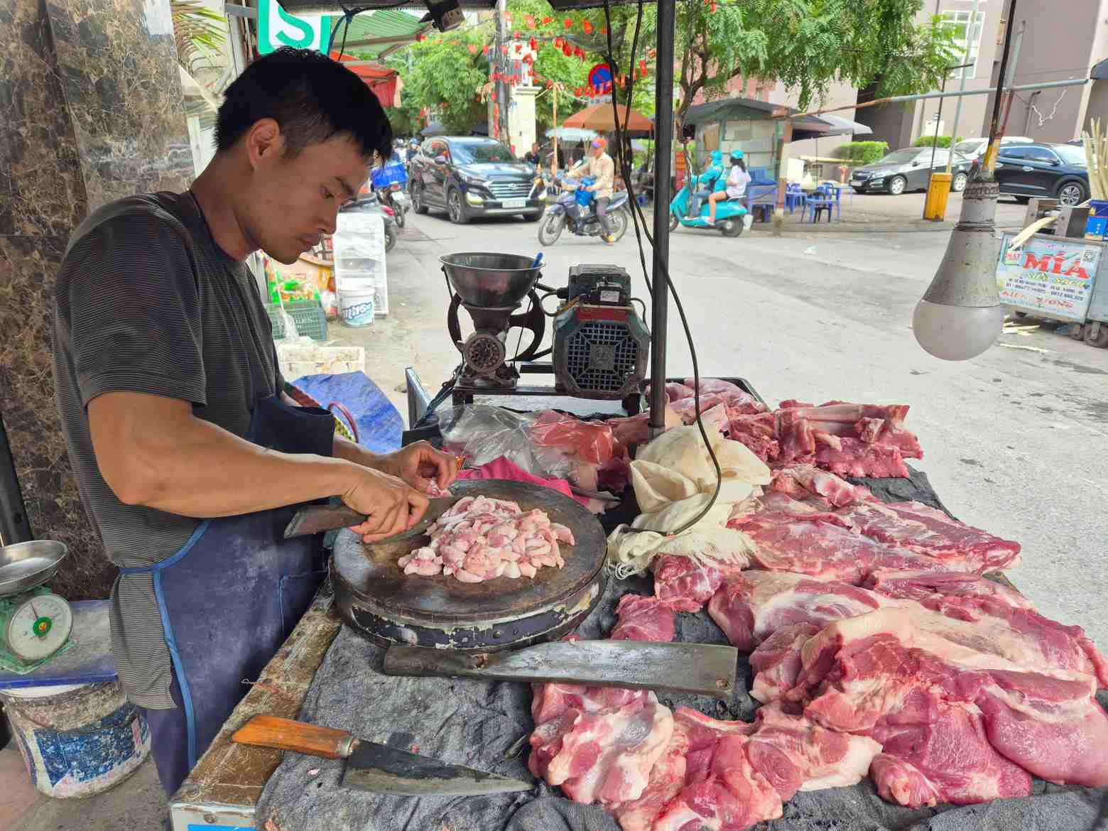 National pig prices are on the rise. Illustrative photo: Phan Anh