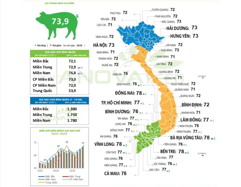 Cap nhat gia lon toan quoc ngay 24.2.2025. Nguon: Anova Feed