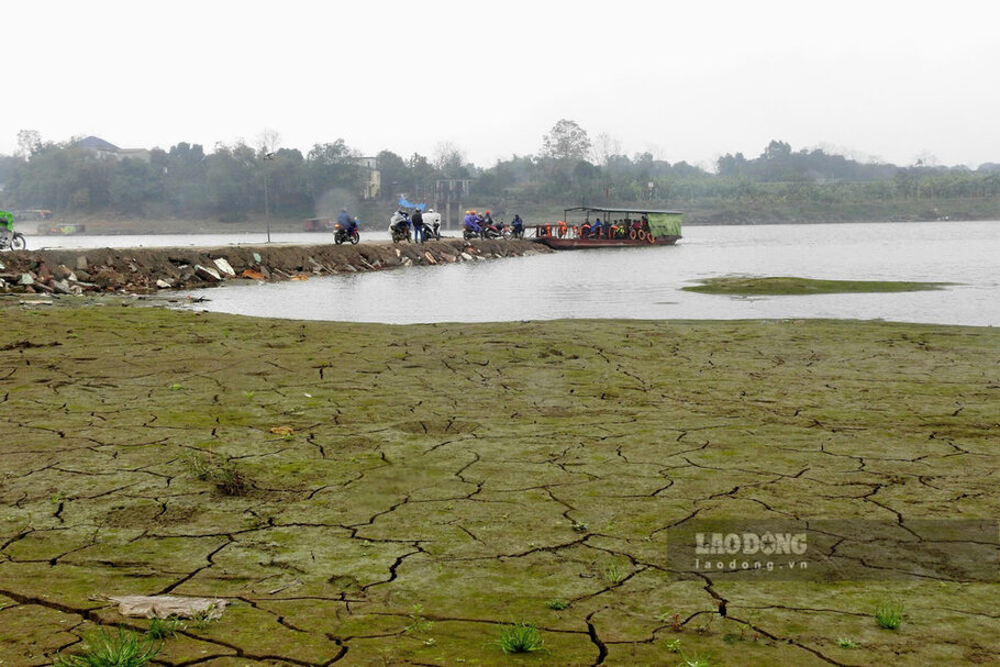 Due to the shallow Red River, Chi Chu ferry terminal had to build a road outside the river to easily pick up and drop off passengers. Photo: To Cong.