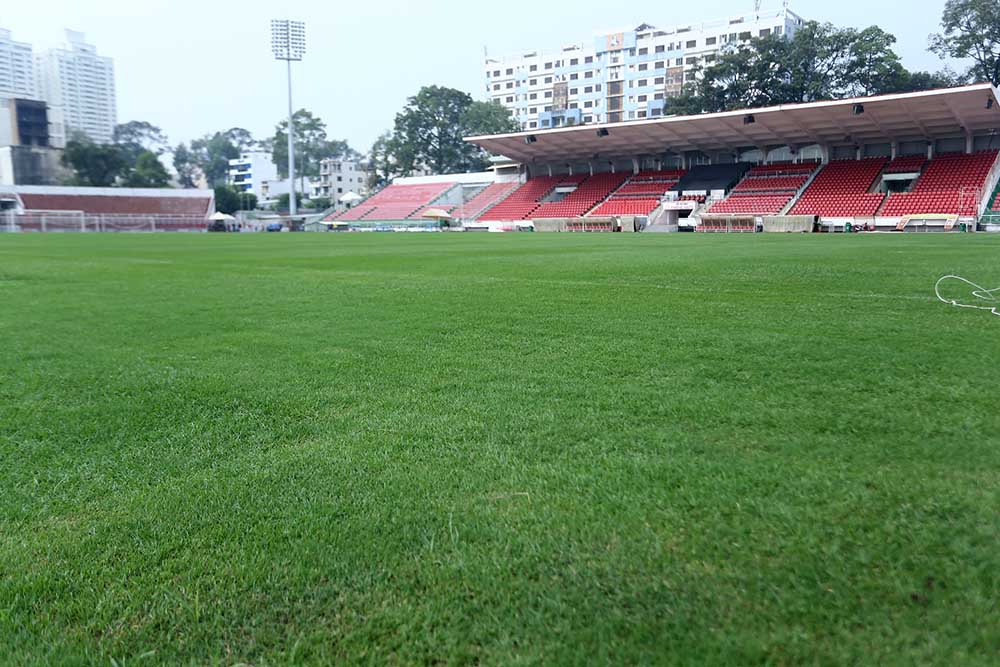 San Thong Nhat su dung co la kim va duoc cham soc kha ki. Ngoai to chuc cac tran dau V.League, giai hang Nhat, noi nay cung thuong xuyen to chuc cac su kien van hoa, giai tri.