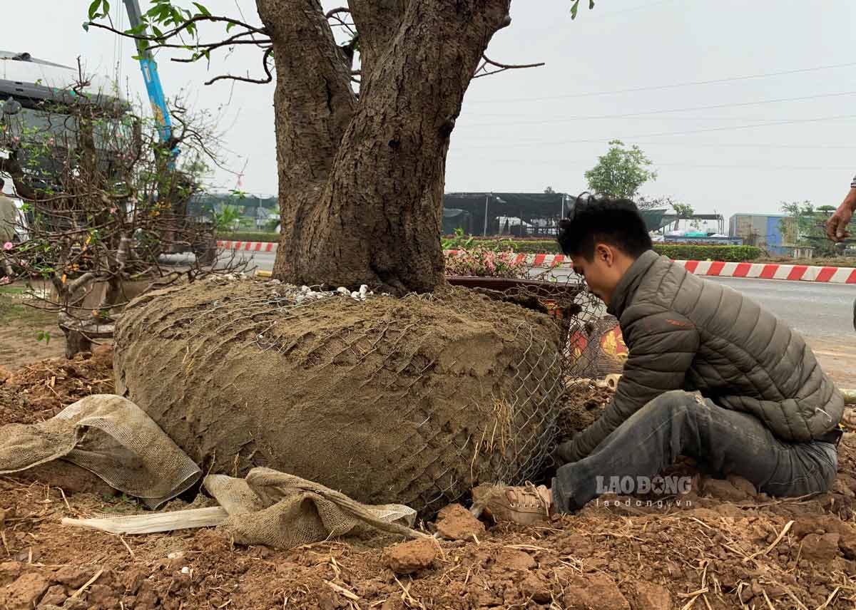 Nguoi dan thao bau dat 