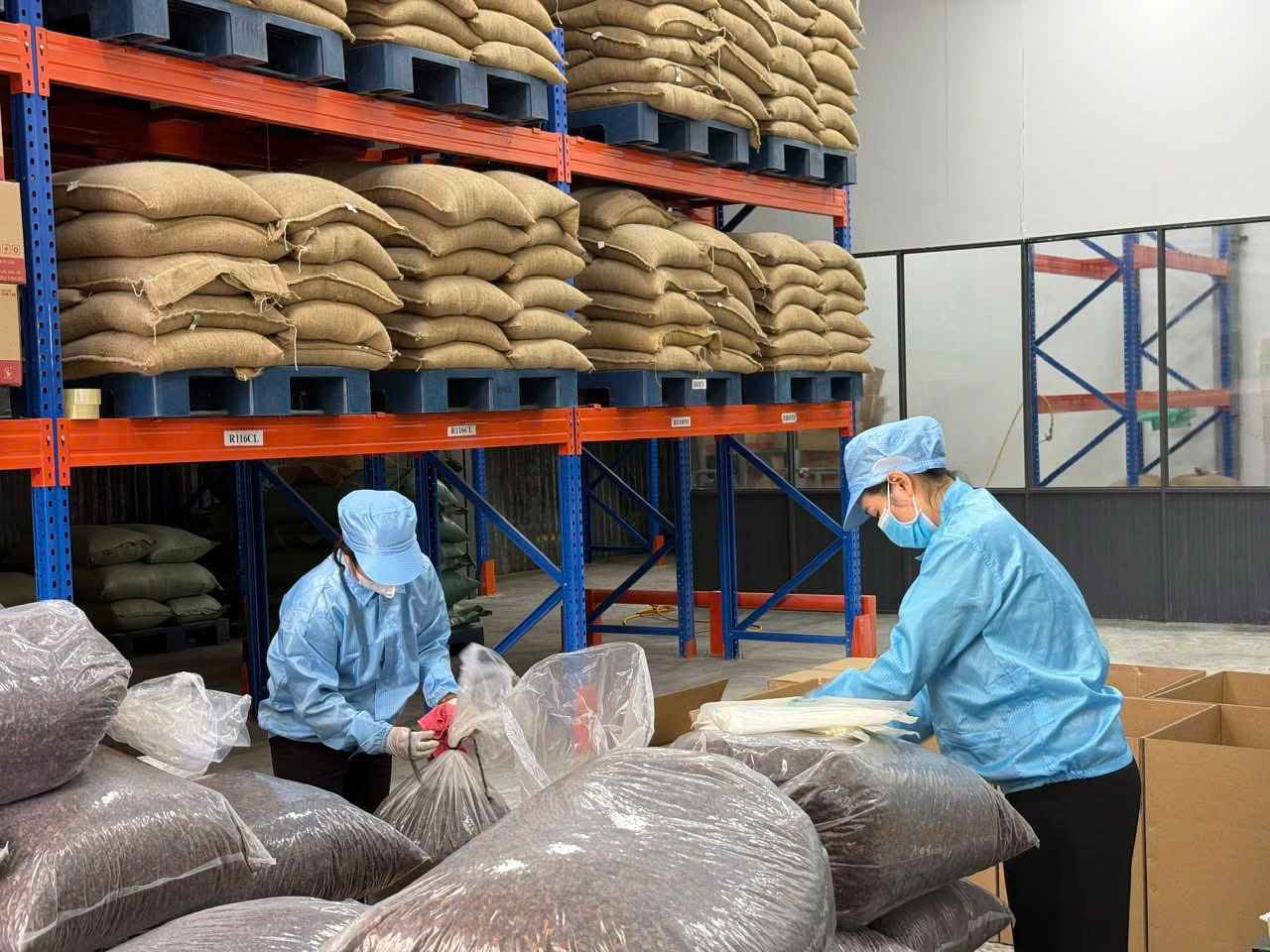 Simexco Daklak exports a shipment of coffee shells to the Korean market. Photo: Bao Trung