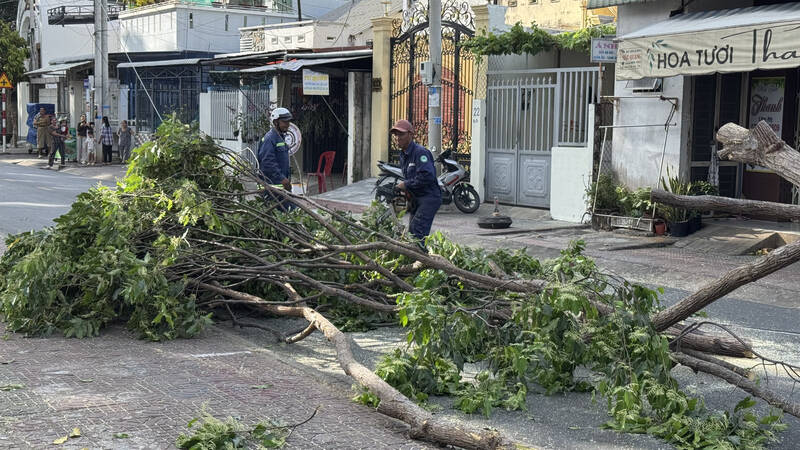 Luc luong cong nhan tich cuc thu don nhung cay xanh bi nga xuong duong giao thong. Anh: Hoang Loc