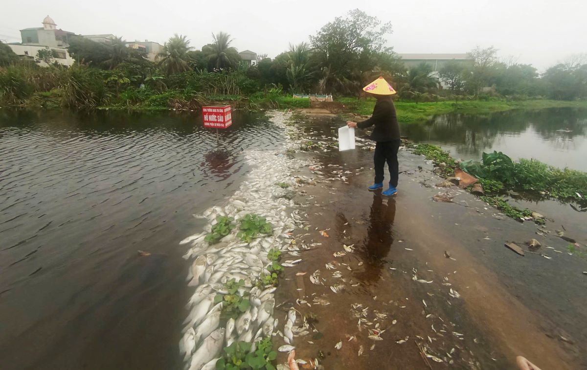 Ca chet don thanh tung dong tren suoi Co Dam. Anh: Minh Hoang