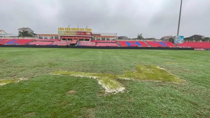 Close-up of the grass of Ha Tinh Stadium at the present time. Photo: VPF