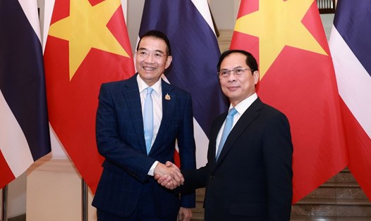 Phó Thủ tướng Chính phủ, Bộ trưởng Ngoại giao Bùi Thanh Sơn và Bộ trưởng Ngoại giao Thái Lan Maris Sangiampongsa. Ảnh: Hải Nguyễn