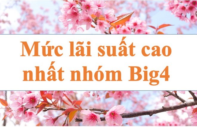 Lãi suất ngân hàng hôm nay 25.2: Mức lãi suất cao nhất Big4