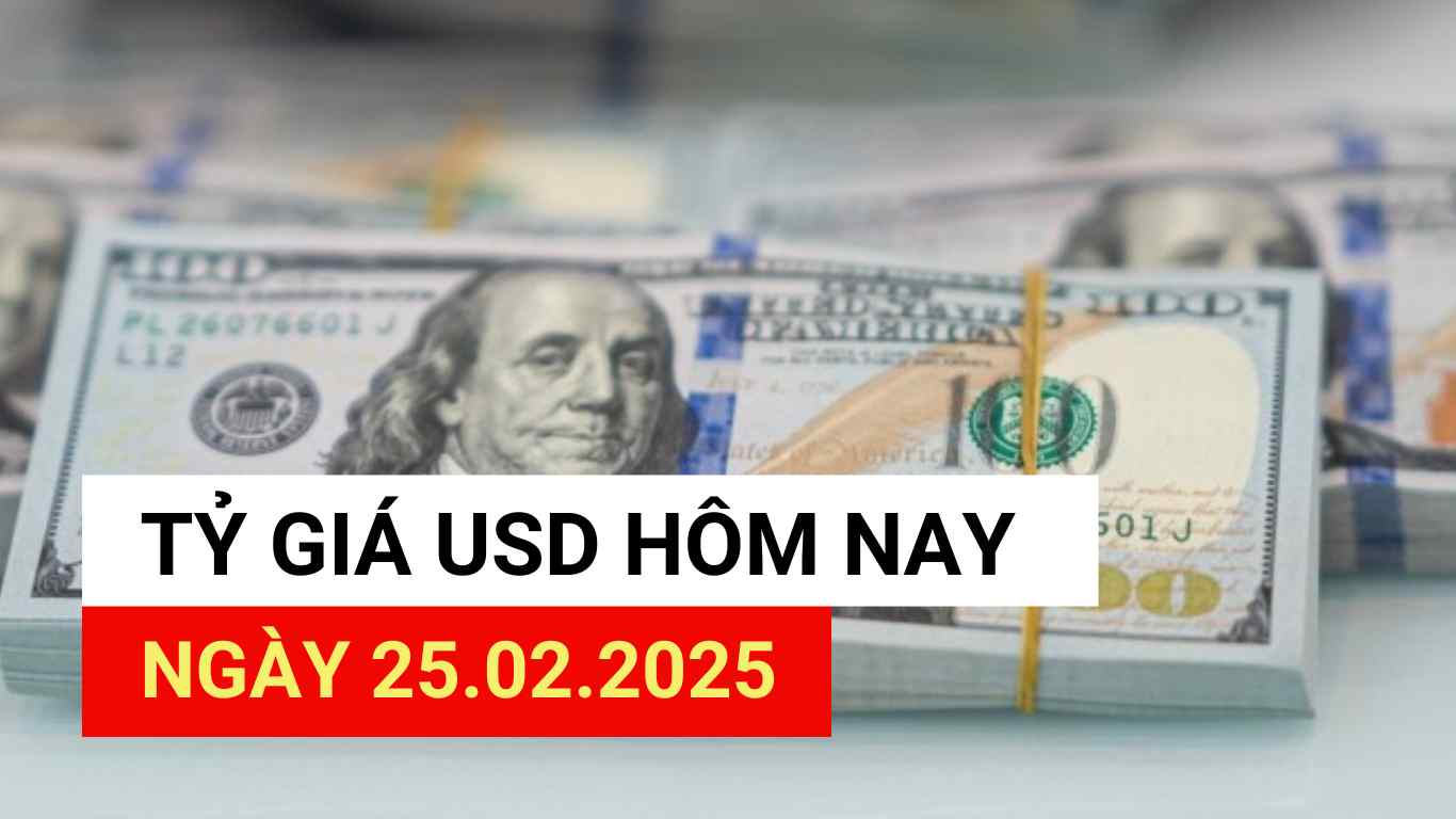 USD exchange rate today 25.2.2025.