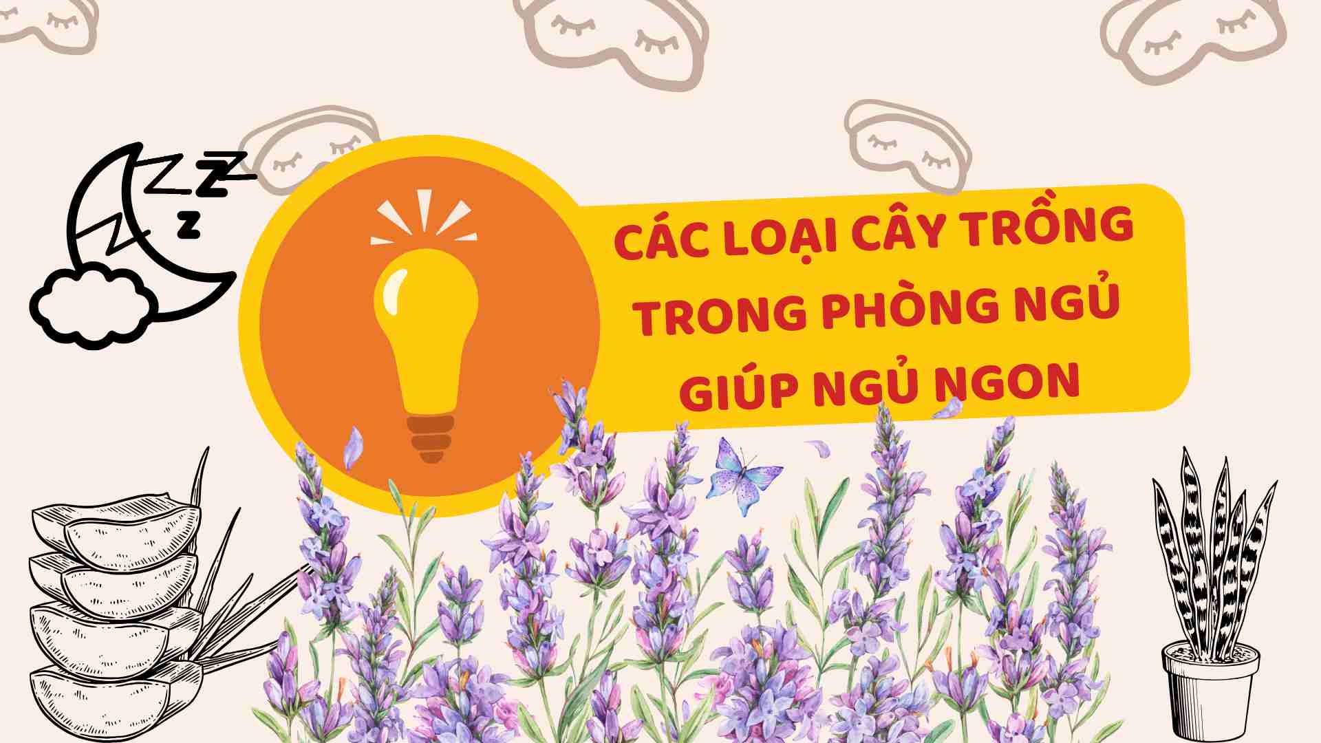 Plantations in the bedroom help sleep well.