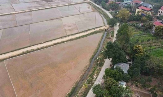 Người sử dụng đất không được cấp sổ đỏ đối với đất nông nghiệp sử dụng vào mục đích công ích. Ảnh minh họa: Phan Anh