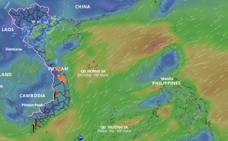 Cold air is forecast to continue affecting the weather in some sea areas of the East Sea. above is an image of the sea wind direction updated at 4:30 p.m. on February 25. Photo: Vietnam Disaster Monitoring System