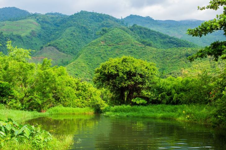 Toom Sara village (Da Nang city) has set aside 70 hectares of forest to restore native forests, protect the environment and create sustainable livelihoods for people. Photo: Toom Sara Village