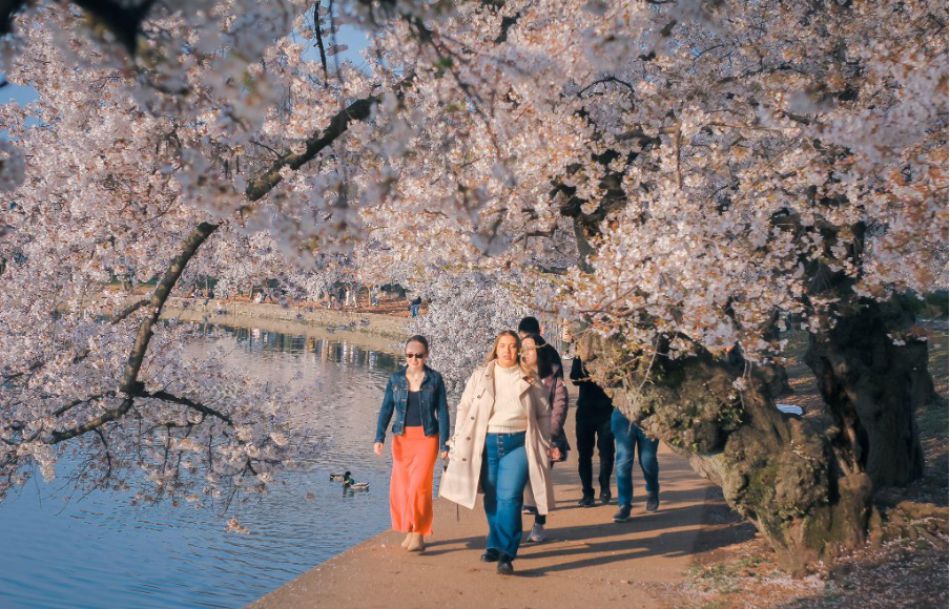 Khach du lich di dao ben bo ho Tidal Basin tai Washington DC, My. Anh: Minh Duc