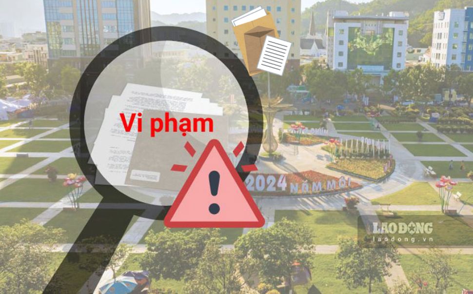 Through inspection, the authorities of Binh Dinh province discovered economic violations with an amount of more than 10.5 billion VND. Graphics: Phuong Thao