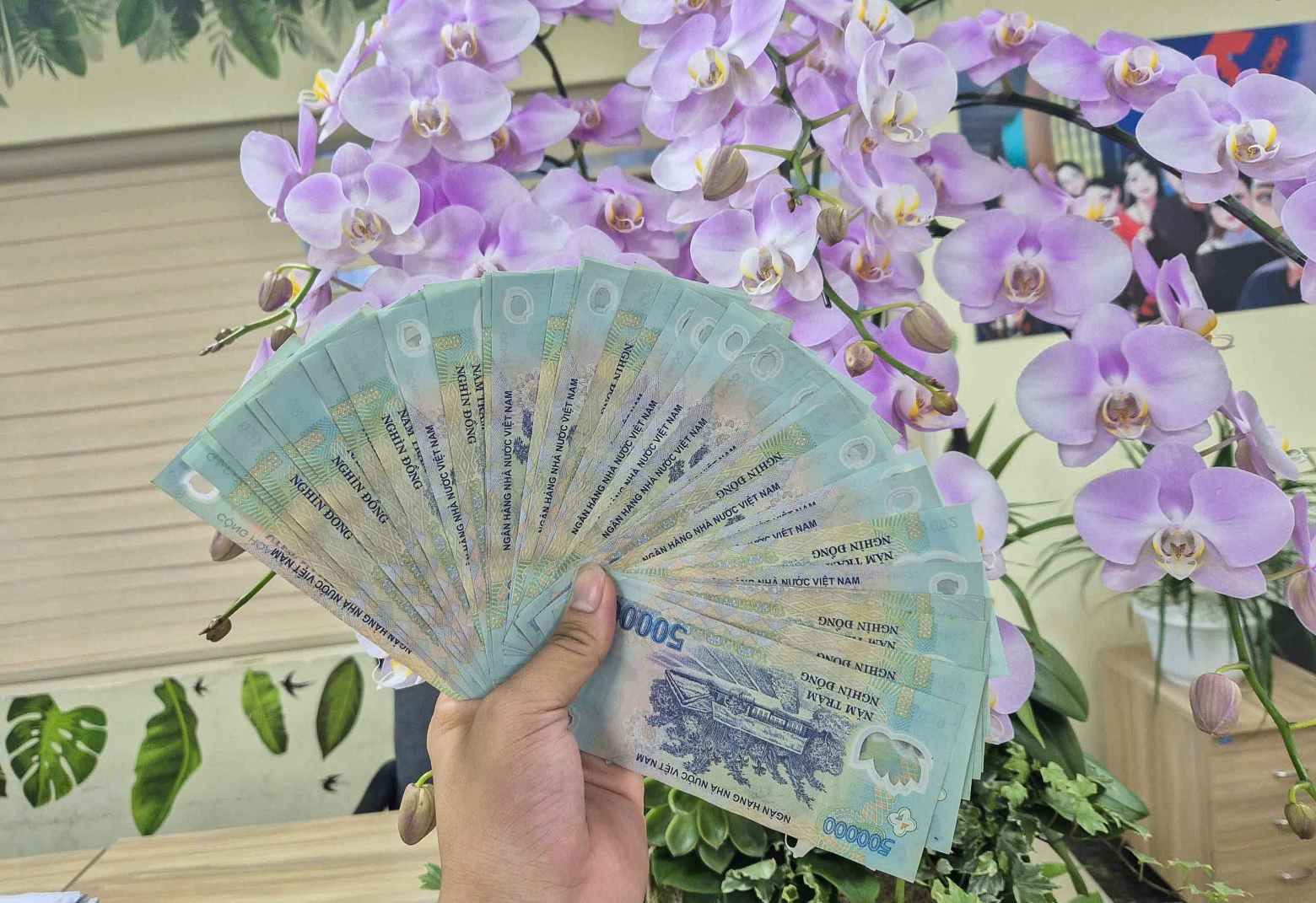 Illustrative photo: Phan Anh