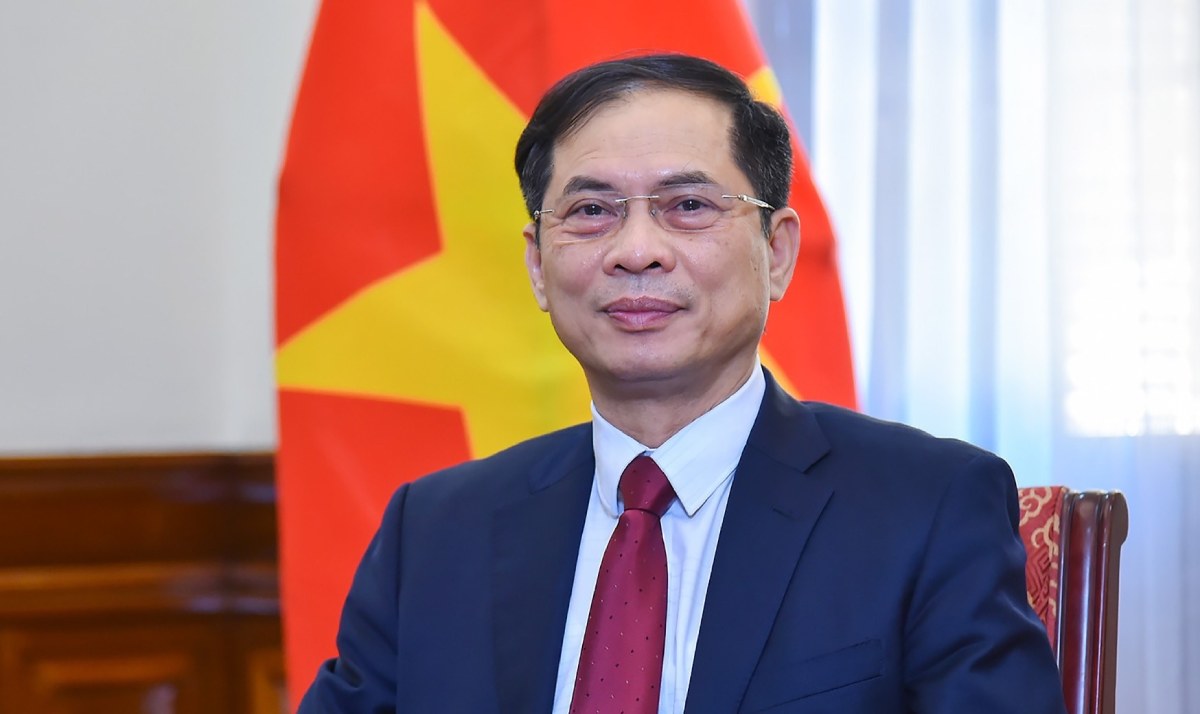 Deputy Prime Minister and Minister of Foreign Affairs Bui Thanh Son. Photo: VNA