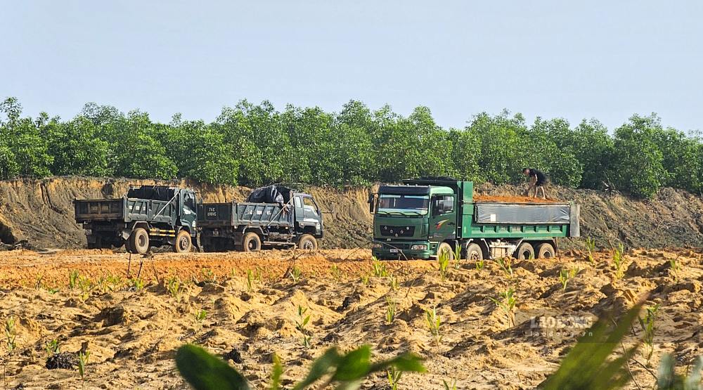 Cars enter and exit the illegal land exploitation site to transport the land for consumption. Photo: PV