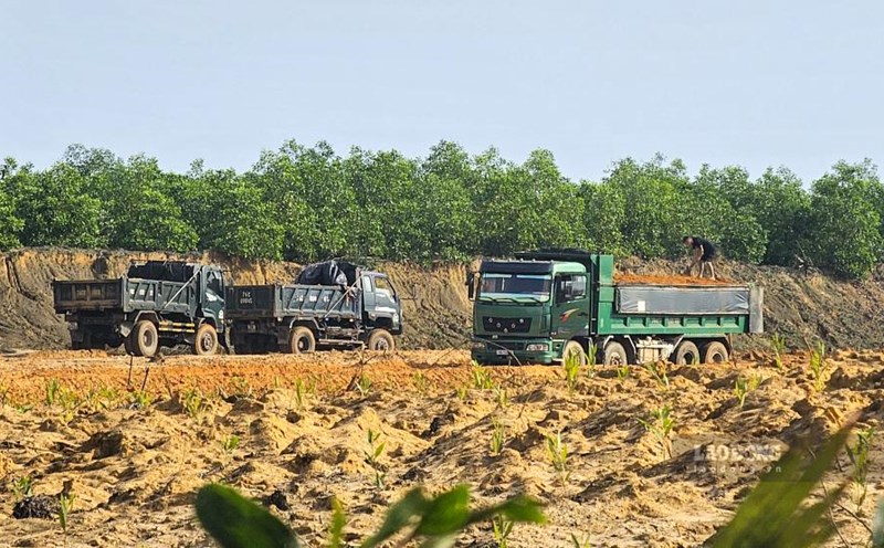 Cars enter and exit the illegal land exploitation site to transport the land for consumption. Photo: PV