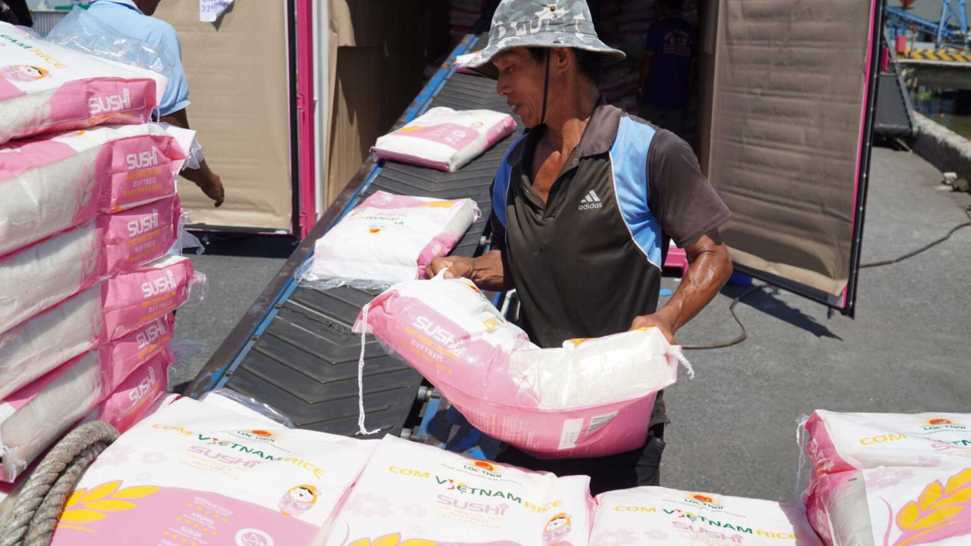 Vietnam's rice export price is low. Photo: Ngoc Le