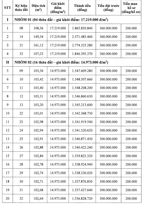 Thong tin mot so thua dat trong phien dau gia ngay 15.3. Anh chup man hinh