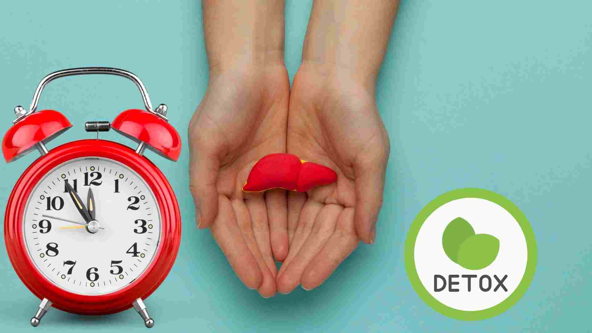 Some time frames help purify the liver effectively. Graphics: Ha May