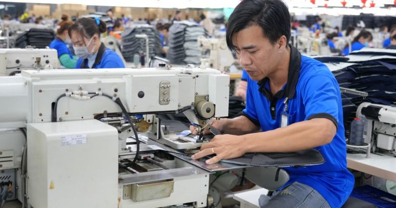 Kinh Doanh Bền Vững: Lợi Thế Mới Cho Người Khuyết Tật