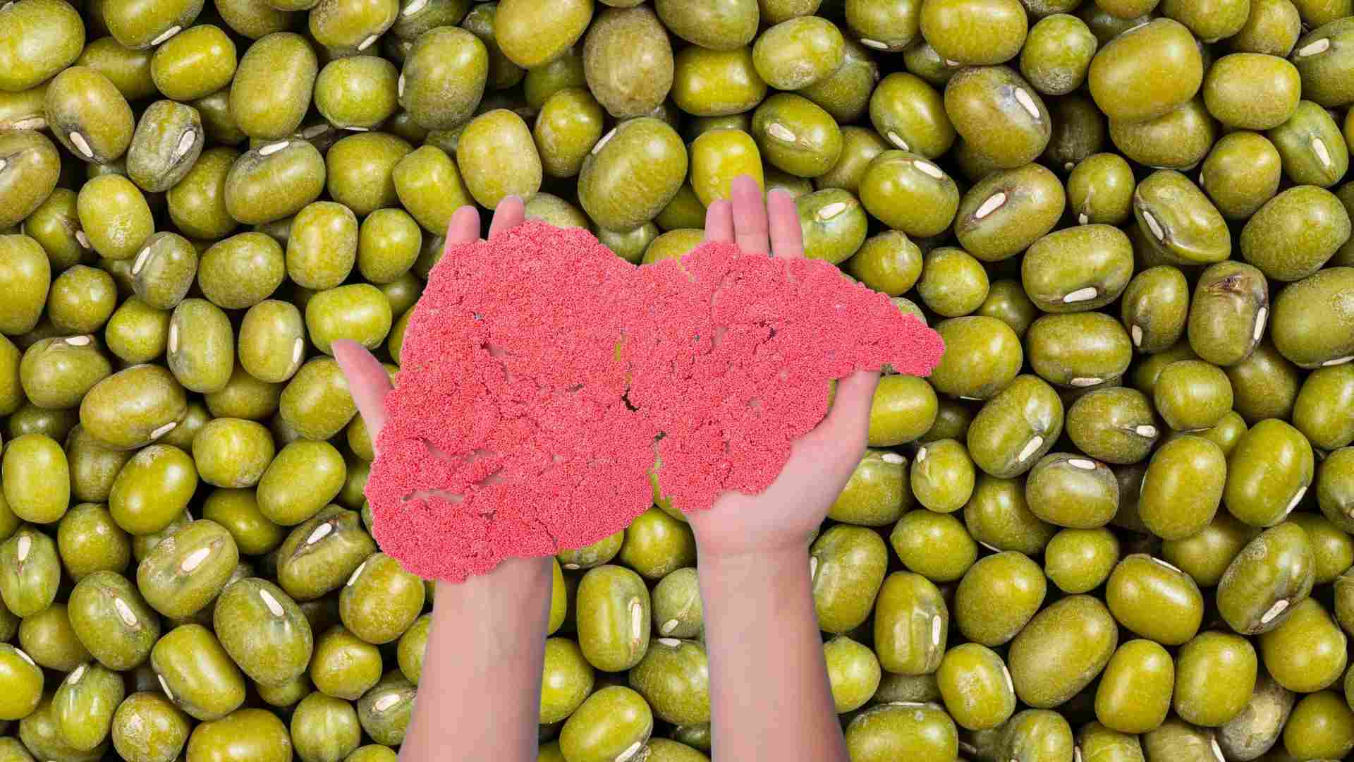 Green beans help purify the liver. Graphics: Ha May