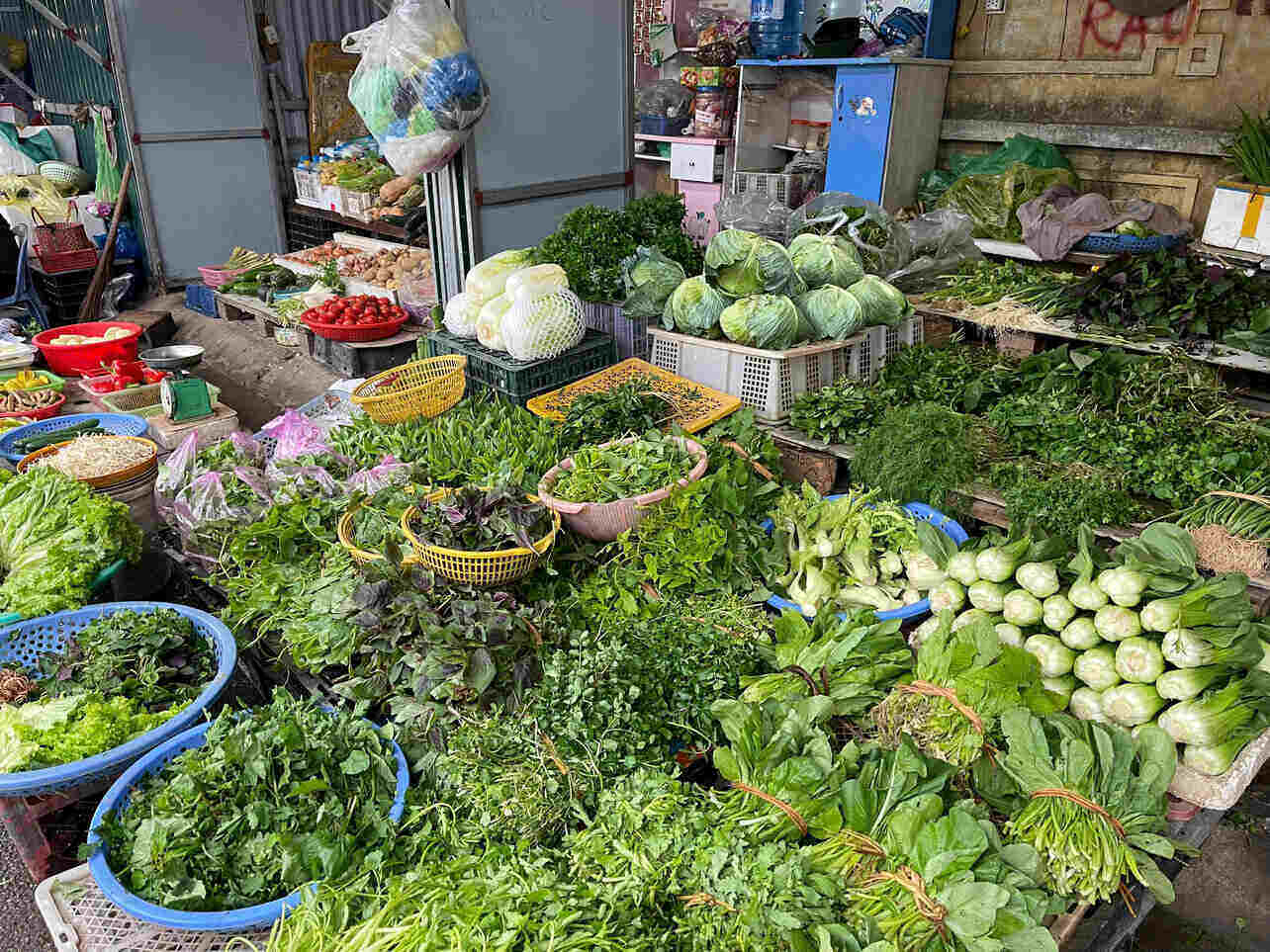 Cold rain reduces supply, green vegetable prices in Hai Duong " scale up". Photo: Mai Huong